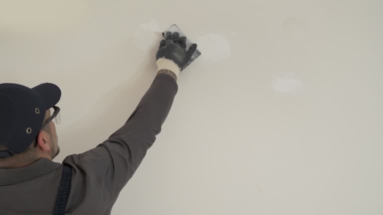 Best Commercial Painting  in Wesley Chapel, FL